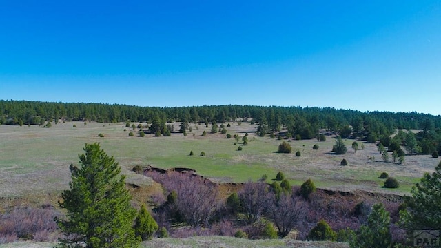 23519 Monarch Rd, Aguilar, CO 81020 - photo 64
