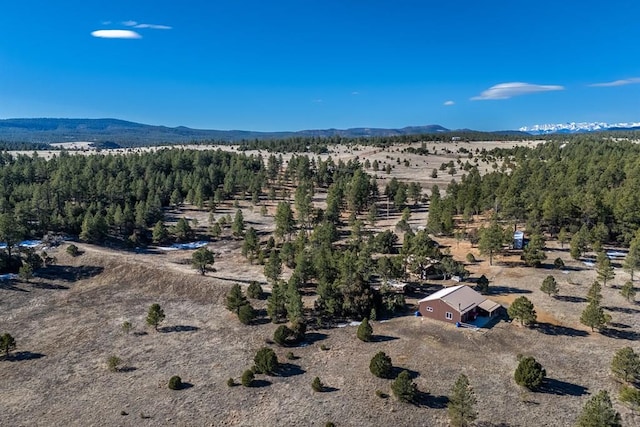 bird's eye view featuring a mountain view and a wooded view