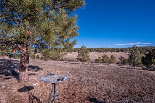 23519 Monarch Rd, Aguilar, CO 81020 - photo 65