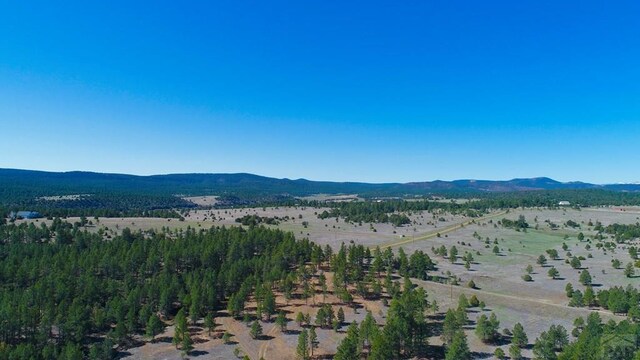 23519 Monarch Rd, Aguilar, CO 81020 - photo 75