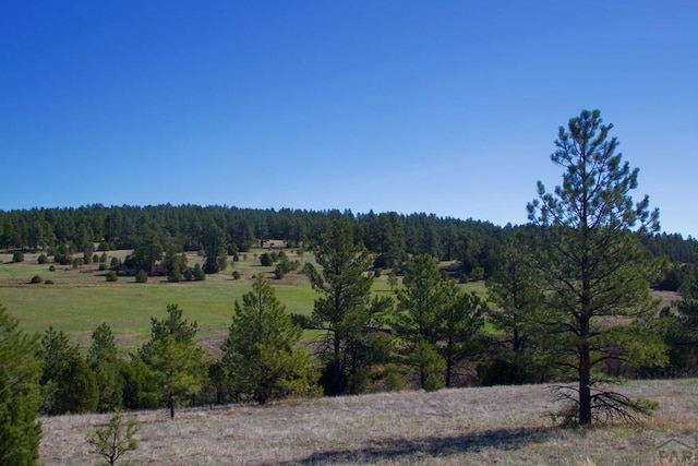 23519 Monarch Rd, Aguilar, CO 81020 - photo 71