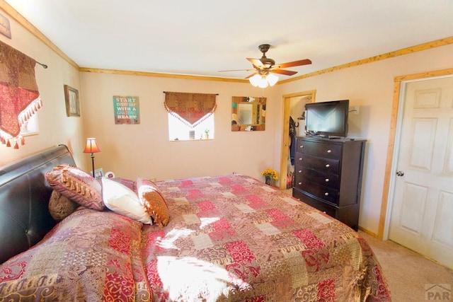 23519 Monarch Rd, Aguilar, CO 81020 - photo 19