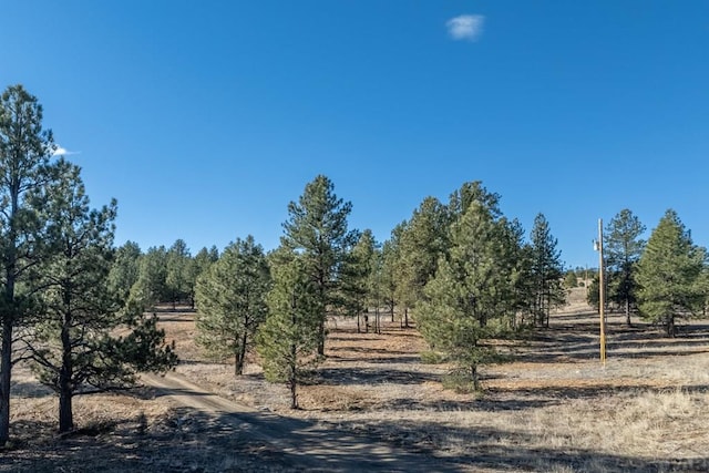 view of landscape featuring a rural view