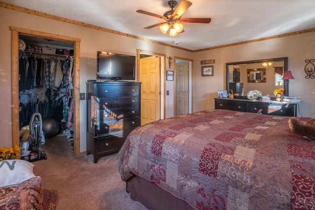 carpeted bedroom with a spacious closet, ornamental molding, a closet, and a ceiling fan