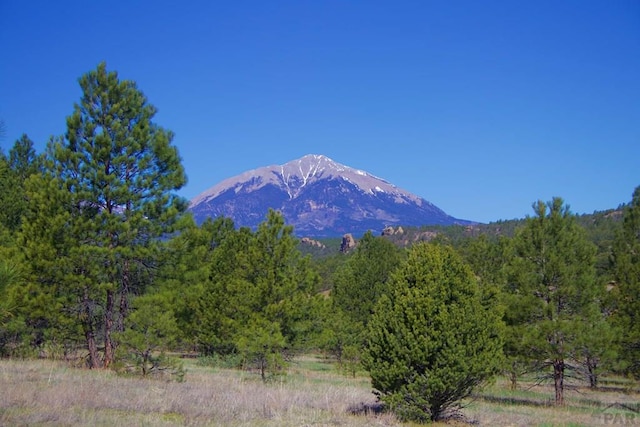 23519 Monarch Rd, Aguilar, CO 81020 - photo 63