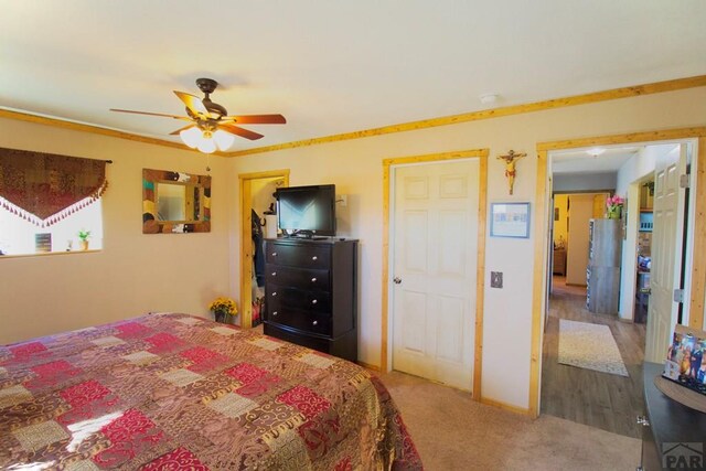 23519 Monarch Rd, Aguilar, CO 81020 - photo 23