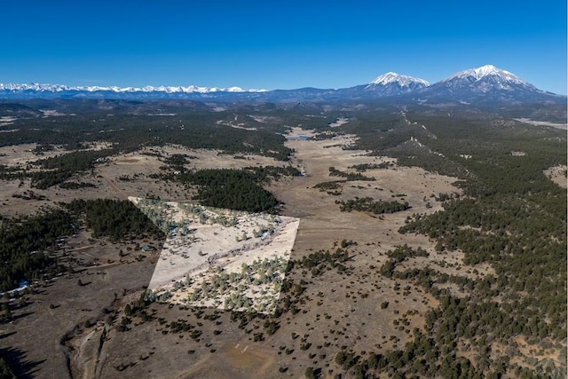 drone / aerial view with a mountain view