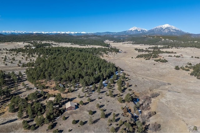 birds eye view of property with a mountain view