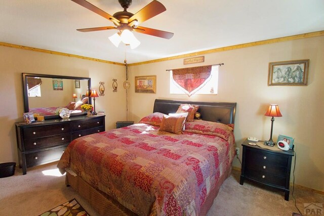 23519 Monarch Rd, Aguilar, CO 81020 - photo 20
