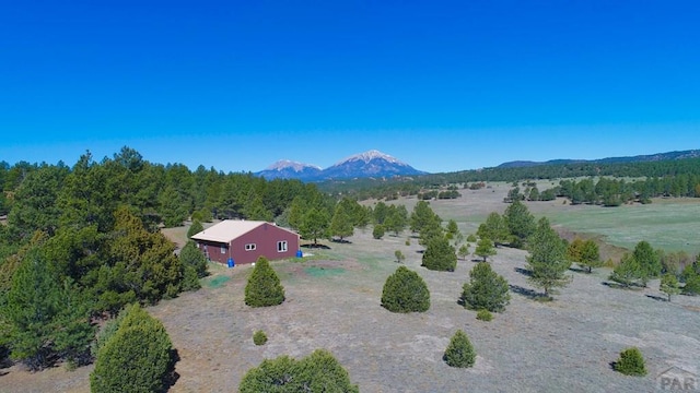 23519 Monarch Rd, Aguilar, CO 81020 - photo 53