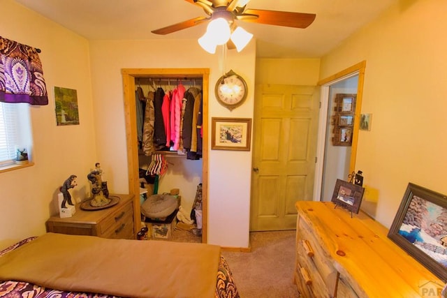 23519 Monarch Rd, Aguilar, CO 81020 - photo 29