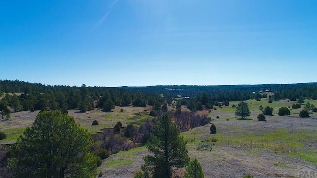 23519 Monarch Rd, Aguilar, CO 81020 - photo 60