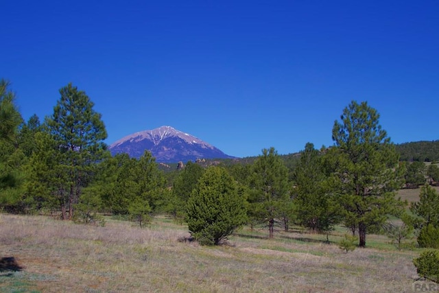 23519 Monarch Rd, Aguilar, CO 81020 - photo 61