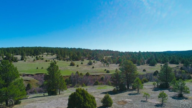23519 Monarch Rd, Aguilar, CO 81020 - photo 57