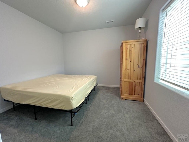 4805 Walking Stick Blvd, Pueblo, CO 81001 - bedroom with multiple windows, carpet floors, and baseboards