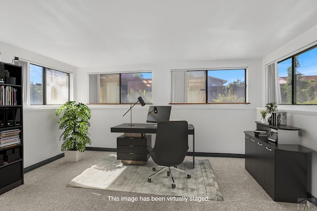 carpeted office featuring a wealth of natural light and baseboards