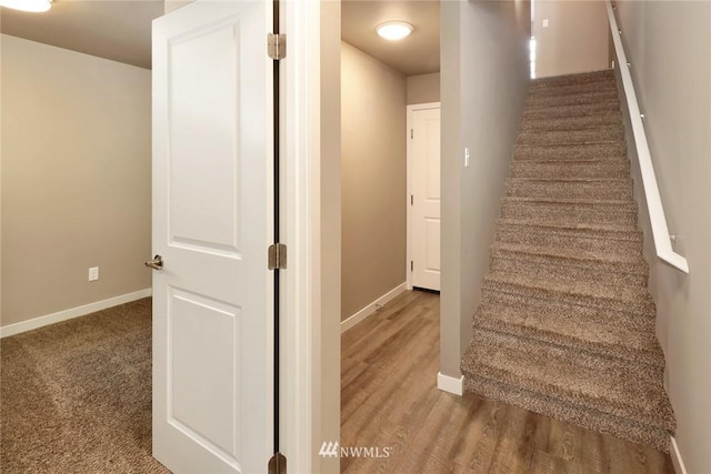 stairway with dark colored carpet